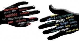 19187_21914_3wildcatf